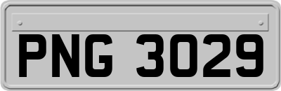 PNG3029