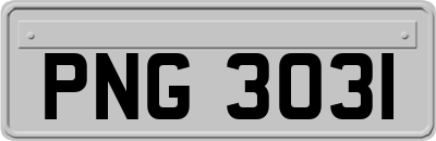 PNG3031