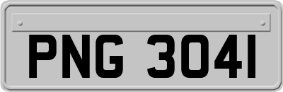 PNG3041