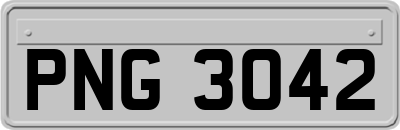 PNG3042