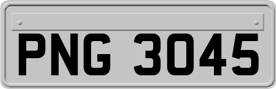 PNG3045