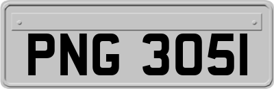 PNG3051