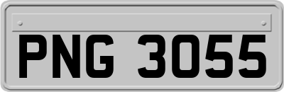 PNG3055