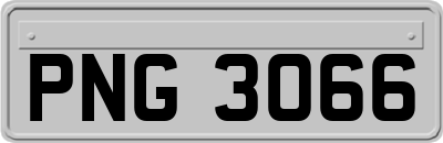 PNG3066