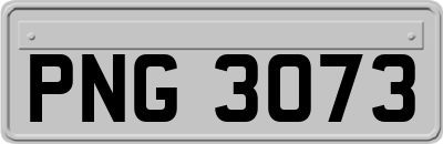 PNG3073