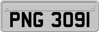 PNG3091