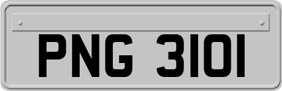PNG3101