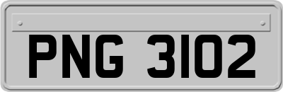 PNG3102