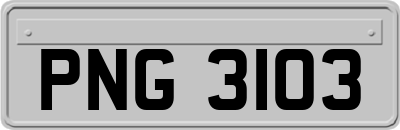 PNG3103