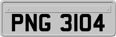 PNG3104