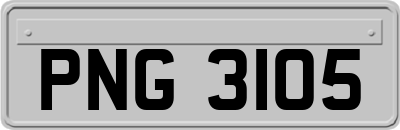 PNG3105