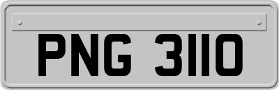 PNG3110