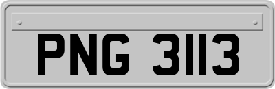 PNG3113