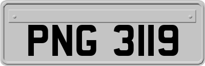 PNG3119