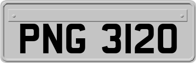 PNG3120