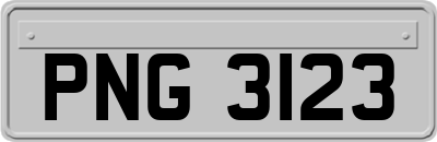 PNG3123