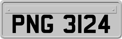 PNG3124