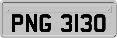 PNG3130