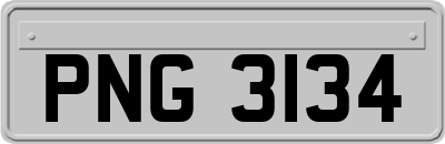 PNG3134