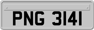 PNG3141