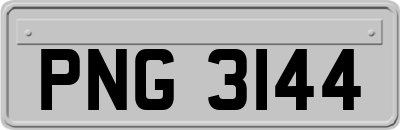 PNG3144