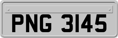 PNG3145
