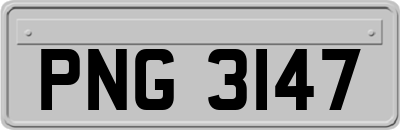 PNG3147
