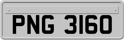 PNG3160