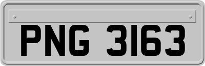PNG3163