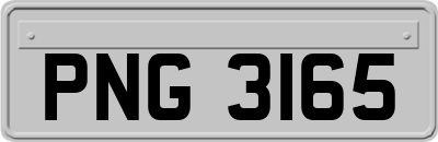 PNG3165
