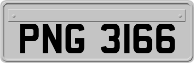 PNG3166