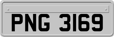 PNG3169