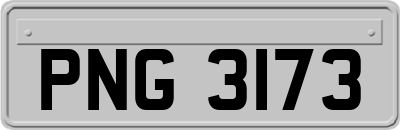 PNG3173