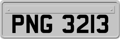 PNG3213