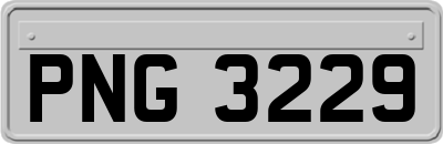 PNG3229