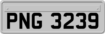 PNG3239