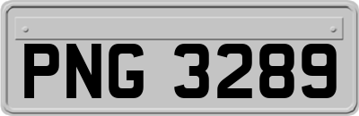 PNG3289