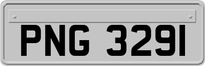 PNG3291