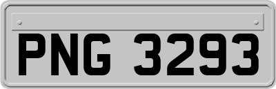 PNG3293
