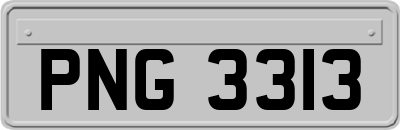 PNG3313