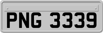 PNG3339