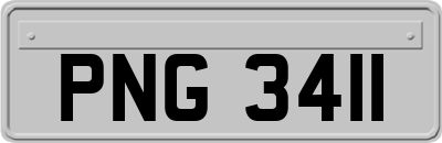 PNG3411