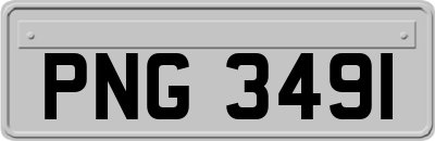 PNG3491