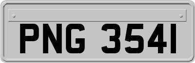 PNG3541