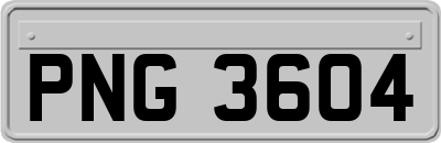PNG3604