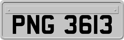 PNG3613
