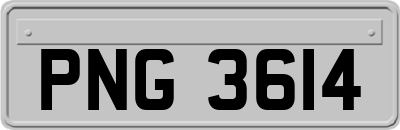 PNG3614