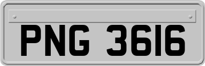 PNG3616