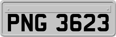 PNG3623