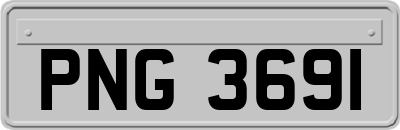 PNG3691